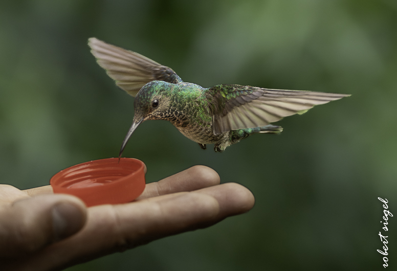 ecuador